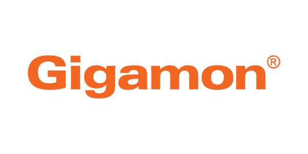 Partner Gigamon
